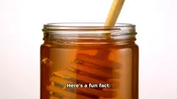 Fun Fact : Honey 