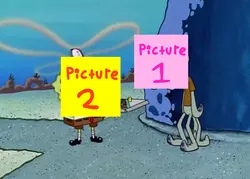 Sponge?