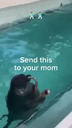 Best meme eve