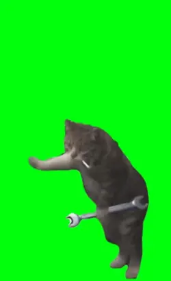 mechanic cat