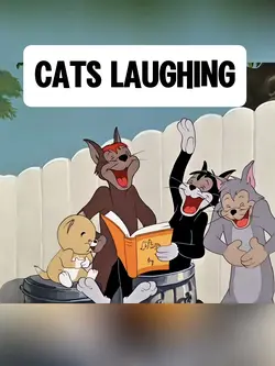 CATS LAUGHING