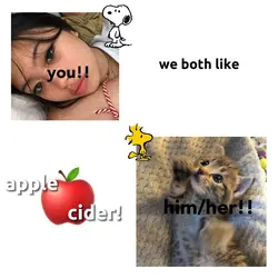 apple cider