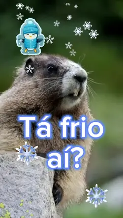 tá frio 