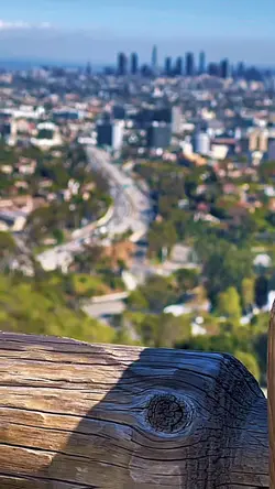 Los Angeles CapCut 