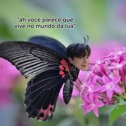 dorama