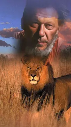 pti,s lion