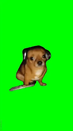 Dog Listen Radiohead