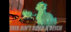Ashfur edit