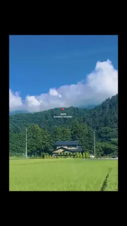 雰囲気すてき🌻✨ 夏休みのフォトダンプ