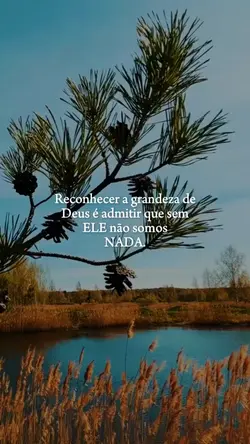 Gratidão Senhor 