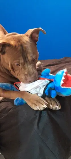 play time