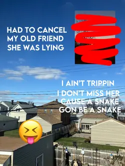 Snakes 