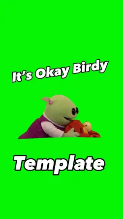 It’s Okay Birdy 