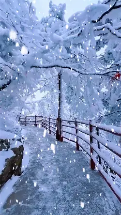 Heavy snow