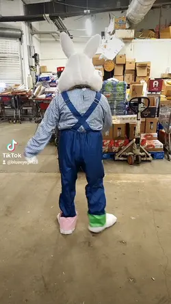 easter bunny