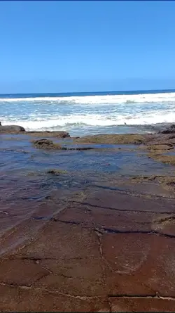 septiembre 