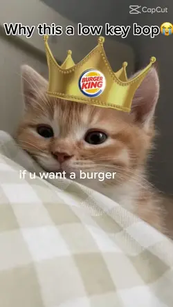 If U wAnT a BuRgEr✨✨