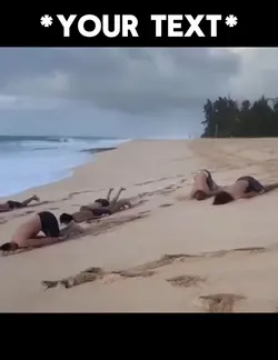 Young turtles 