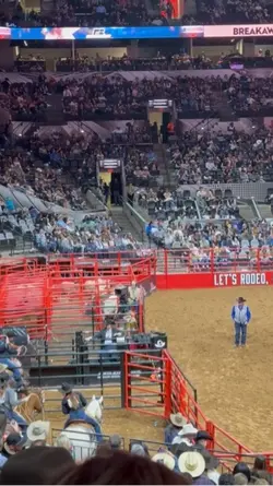 break away roping !