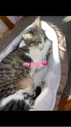 MY BABY MY BABY