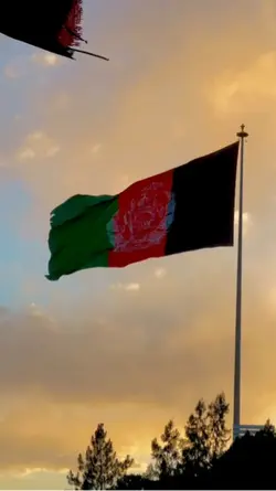 Afghanistan Flag 