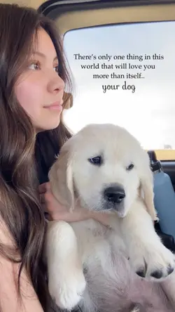 your dog 🤍