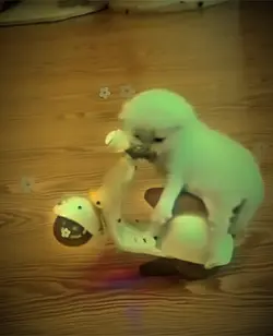 license please ๐ค