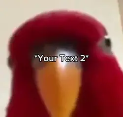 Bird prophecy