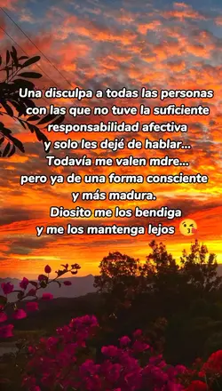 una disculpa 