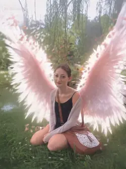wings