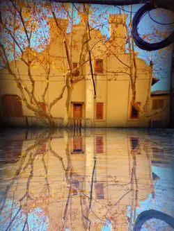 inverted image