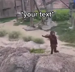 Monkey meme