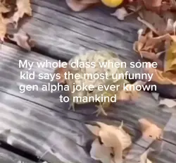 🤶🤶🤶🤶