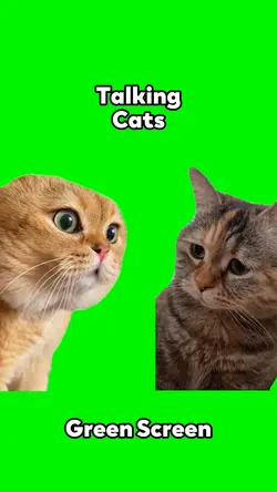 Talking Cats