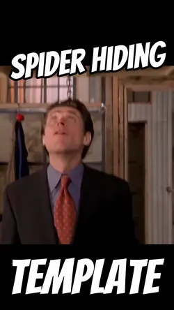 Spider Hiding 