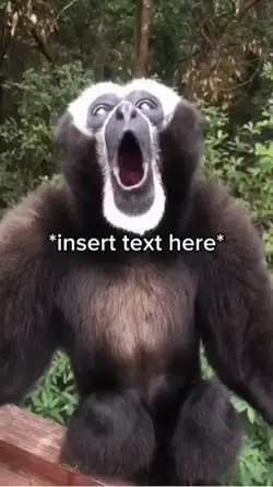 Monkey Singing 