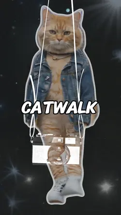 Catwalk