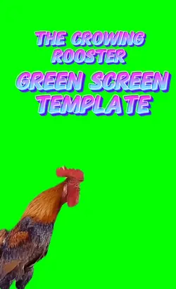 The Crowing Rooster