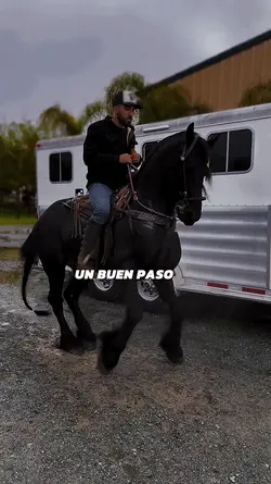 juan freer 