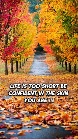 LifeIsShort