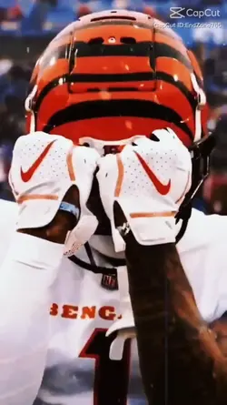 Bengals edit