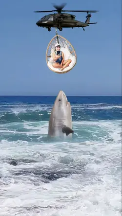 TUBARÃO 
