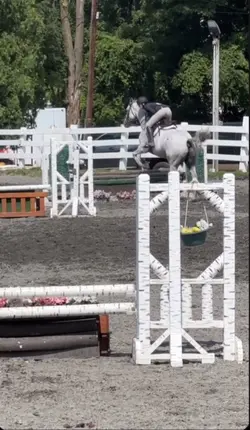 Reserve Champion!