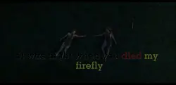 My firefly…