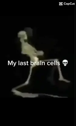 Skeleton 