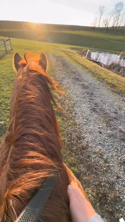 Love this mare sm 💕