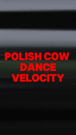 Polish cow velocity