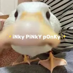 ducks💗