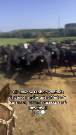 Eii cowboy