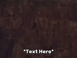 Flying meme 